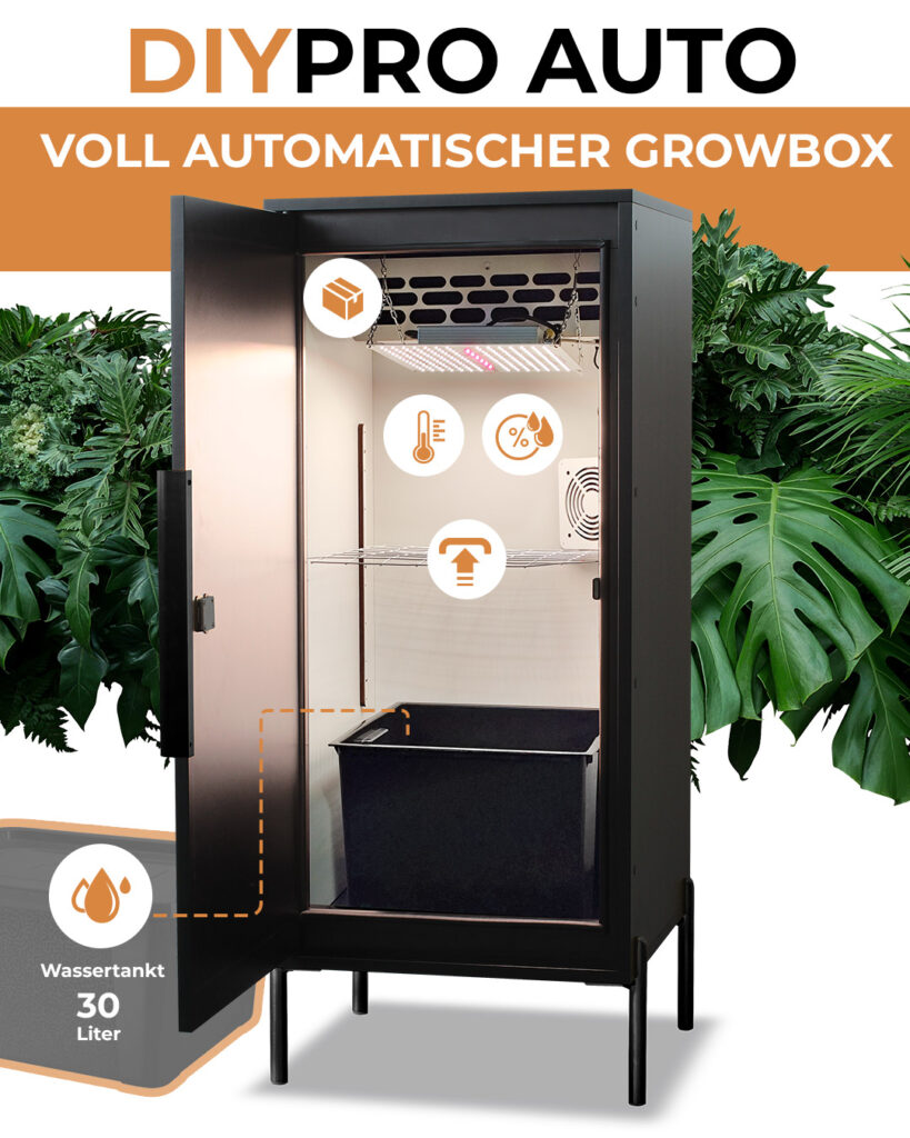 Automatische Growbox DIYPRO AUTO mit vollständiger Automatisierung